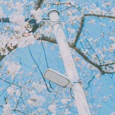 西游女儿国木勺版下载